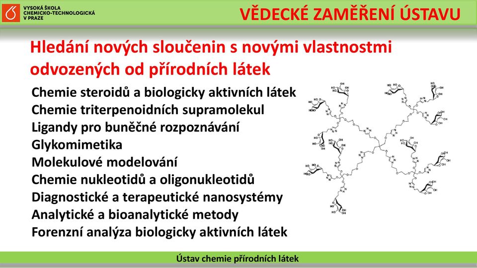 rozpoznávání Glykomimetika Molekulové modelování Chemie nukleotidů a oligonukleotidů Diagnostické a