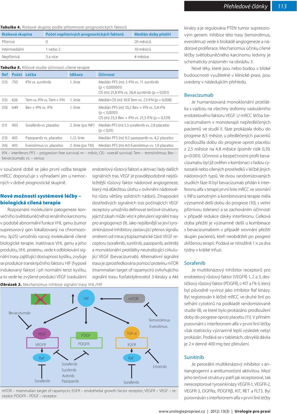 Nepříznivá 3 a více 4 měsíce Tabulka 5. Klíčové studie účinnosti cílené terapie Ref Počet Léčba Idikace Účinnost (12) 750 IFN vs. 1. linie Medián PFS (m): 5 IFN vs.