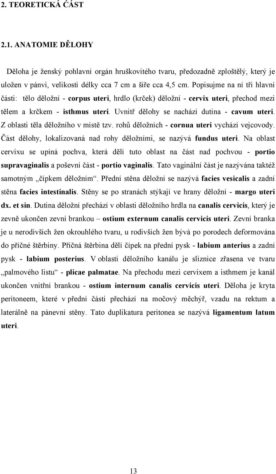 Z oblasti těla děložního v místě tzv. rohů děložních - cornua uteri vychází vejcovody. Část dělohy, lokalizovaná nad rohy děložními, se nazývá fundus uteri.