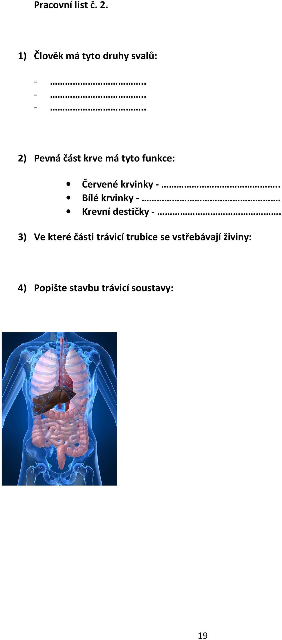 . Bílé krvinky -. Krevní destičky -.