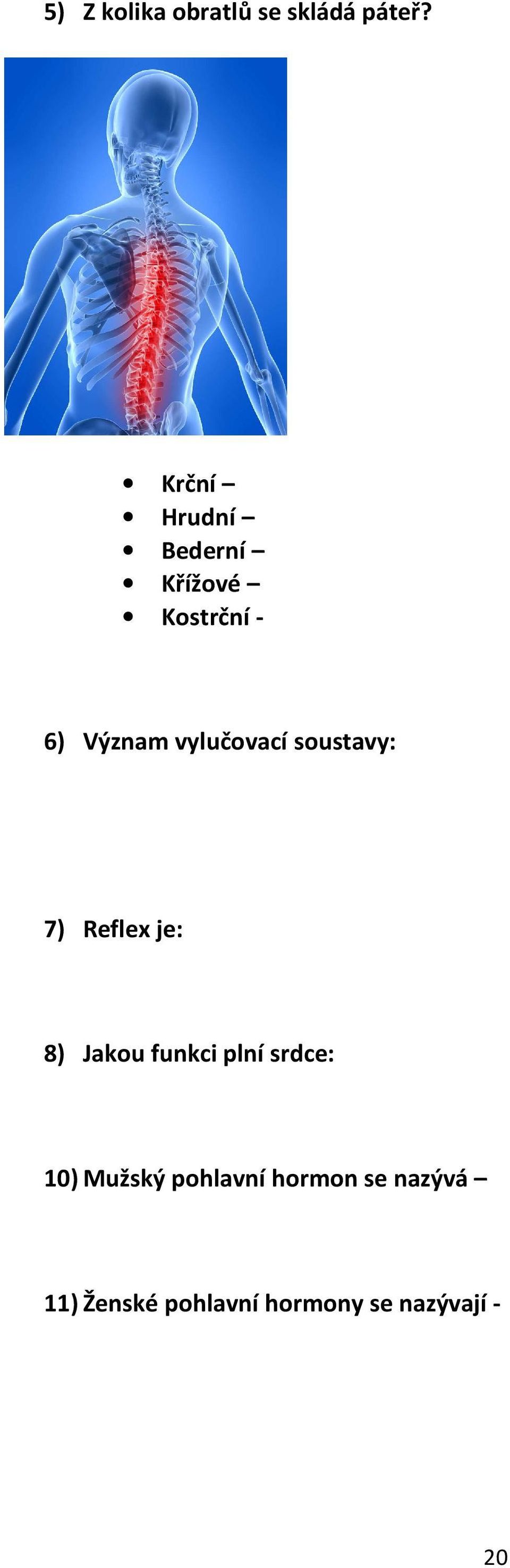 vylučovací soustavy: 7) Reflex je: 8) Jakou funkci plní