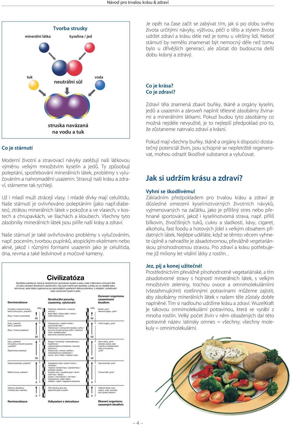 Co je zdraví? Co je stárnutí struska navázaná na vodu a tuk Moderní životní a stravovací návyky zatěžují naši látkovou výměnu velkým množstvím kyselin a jedů.