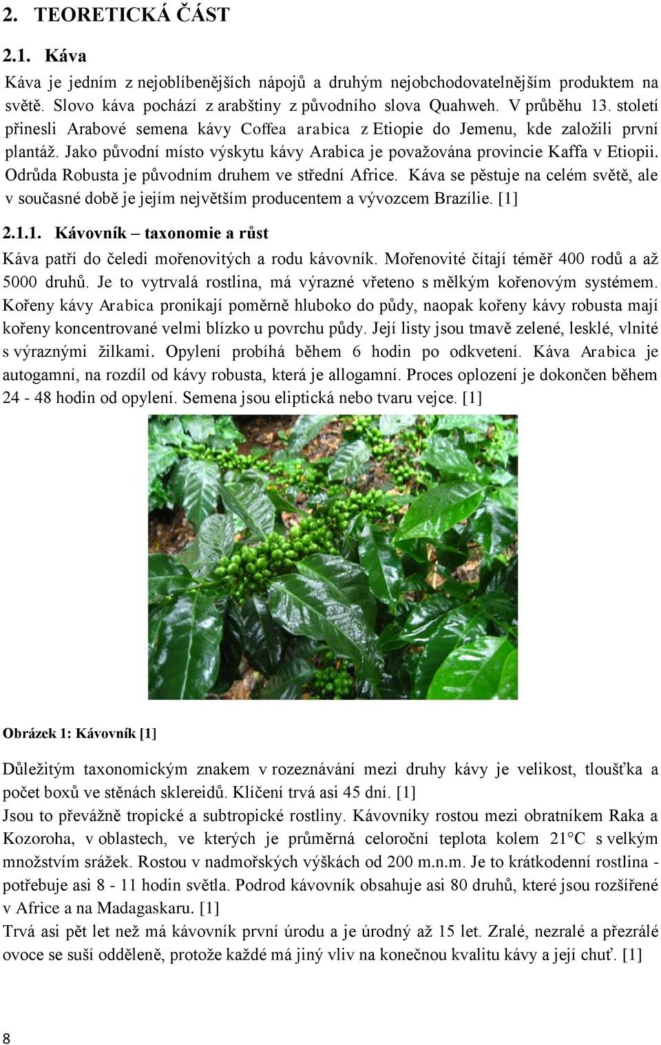 Odrůda Robusta je původním druhem ve střední Africe. Káva se pěstuje na celém světě, ale v současné době je jejím největším producentem a vývozcem Brazílie. [1]