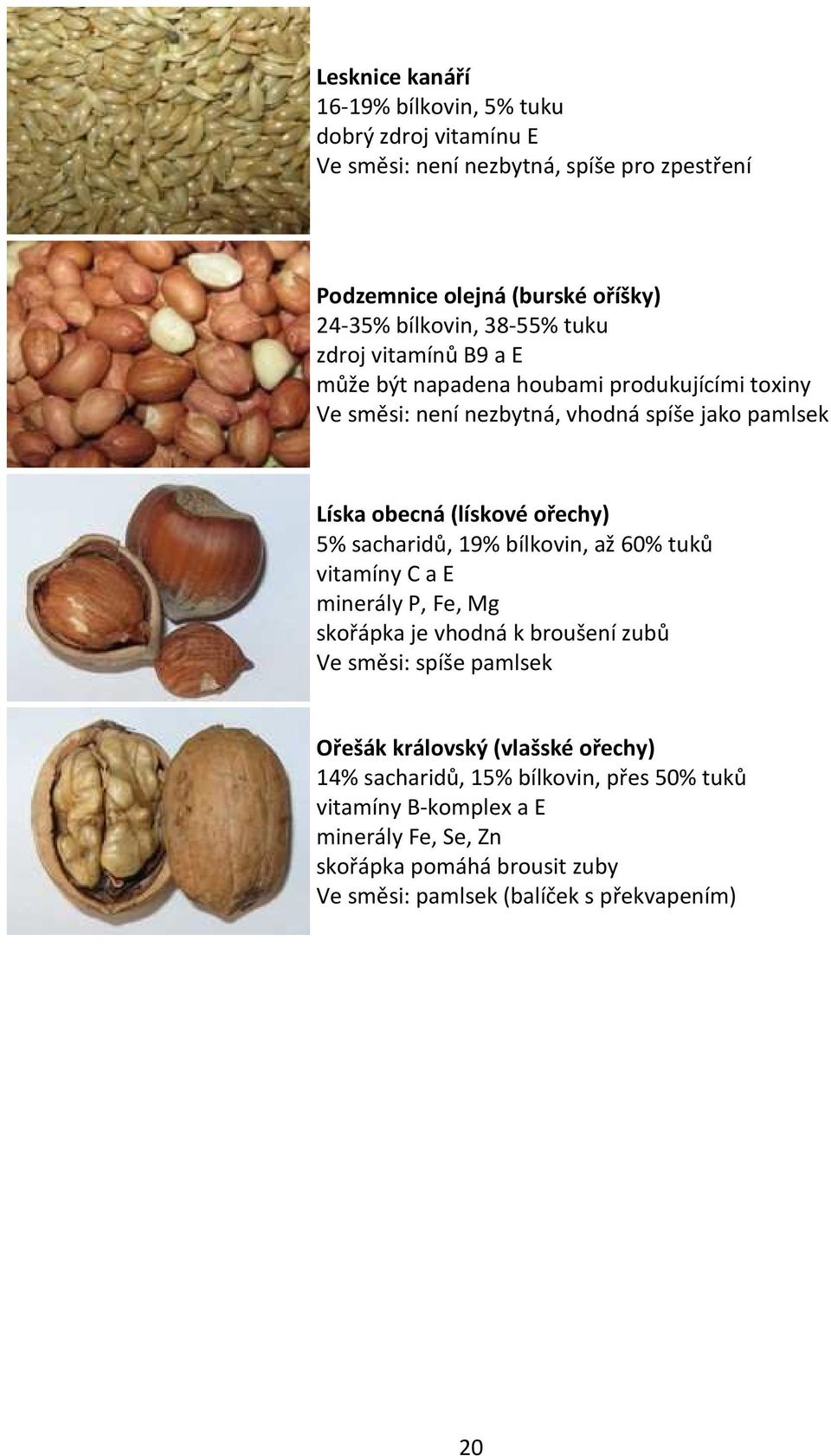 5% sacharidů, 19% bílkovin, až 60% tuků vitamíny C a E minerály P, Fe, Mg skořápka je vhodná k broušení zubů Ve směsi: spíše pamlsek Ořešák královský (vlašské