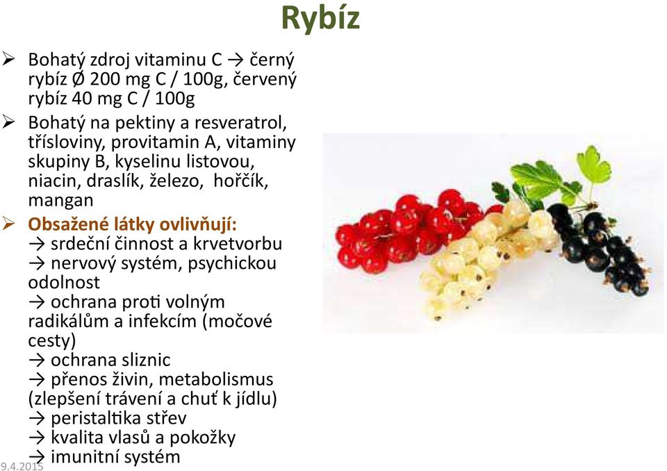 a krvetvorbu nervový systém, psychickou odolnost ochrana prox volným radikálům a infekcím (močové cesty) ochrana sliznic