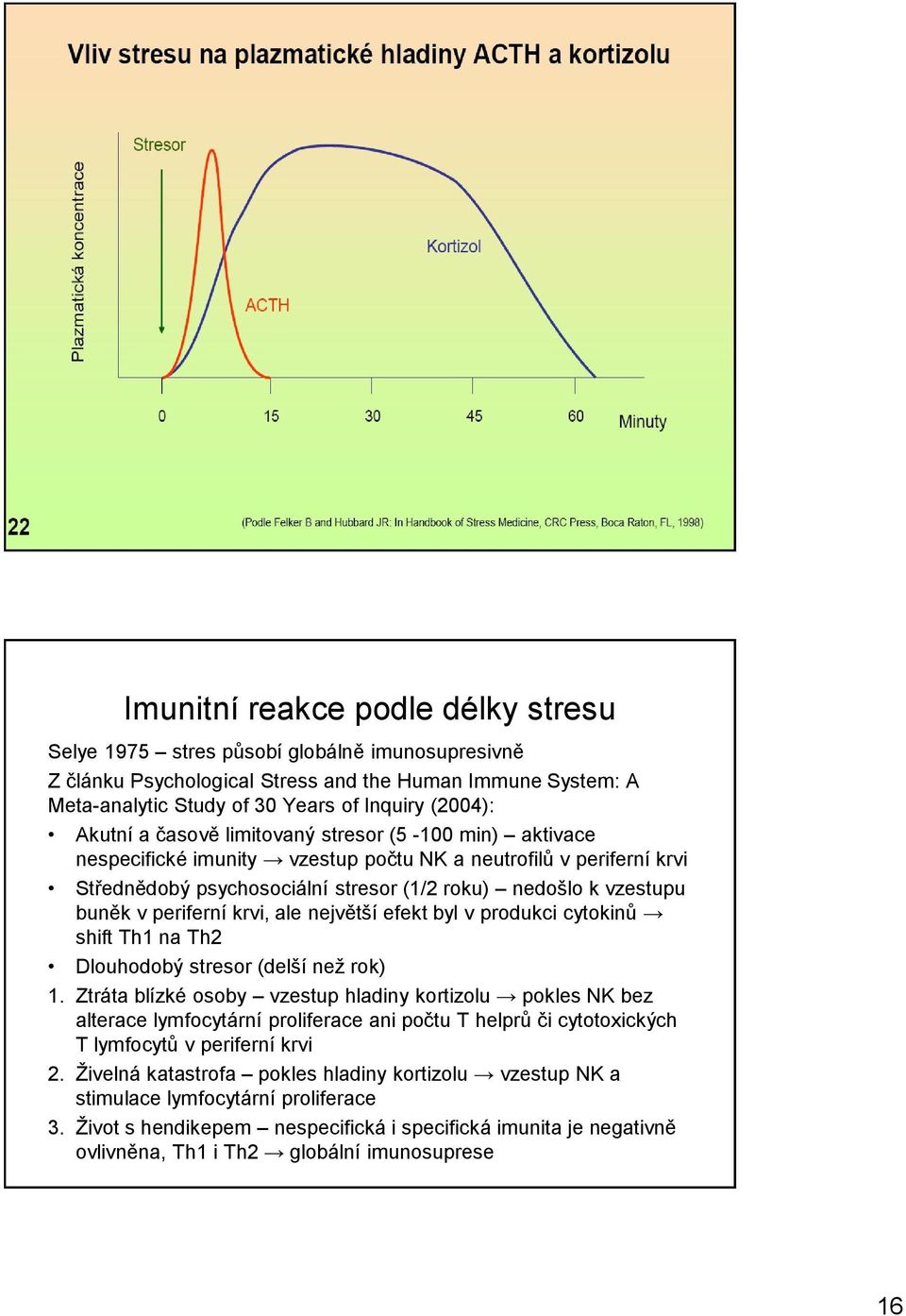 periferní krvi, ale největší efekt byl v produkci cytokinů shift Th1 na Th2 Dlouhodobý stresor (delší než rok) 1.