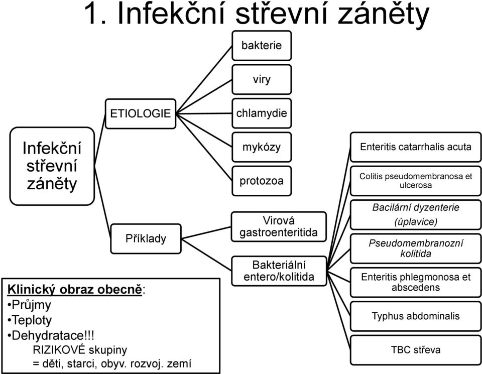 zemí mykózy protozoa Virová gastroenteritida Bakteriální entero/kolitida Enteritis catarrhalis acuta Colitis