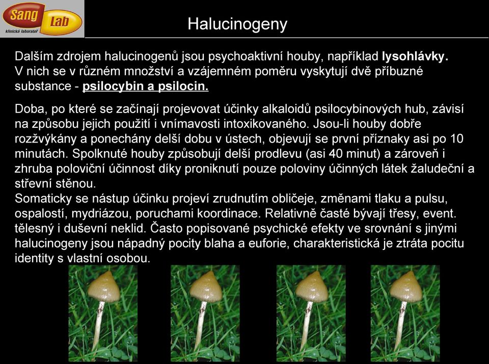 Jsou-li houby dobře rozžvýkány a ponechány delší dobu v ústech, objevují se první příznaky asi po 10 minutách.