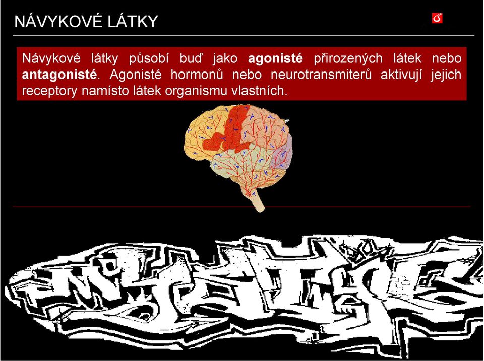 Agonisté hormonů nebo neurotransmiterů aktivují