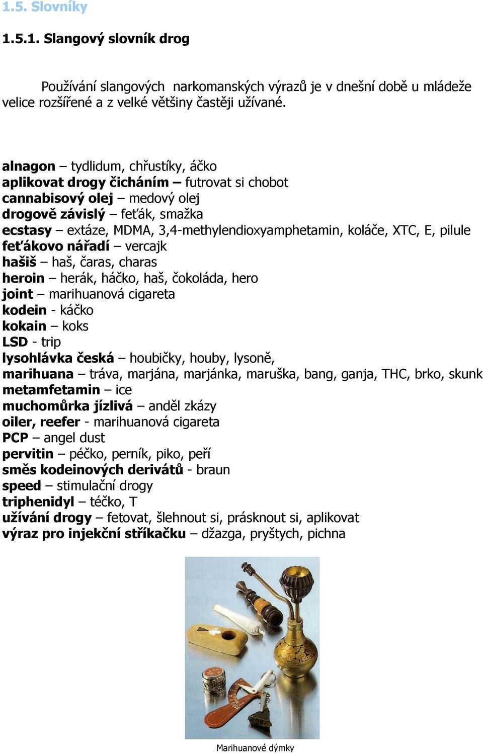 XTC, E, pilule feťákovo nářadí vercajk hašiš haš, čaras, charas heroin herák, háčko, haš, čokoláda, hero joint marihuanová cigareta kodein - káčko kokain koks LSD - trip lysohlávka česká houbičky,