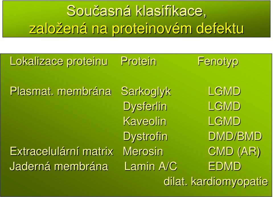 membrána Sarkoglyk LGMD Dysferlin LGMD Kaveolin LGMD Dystrofin