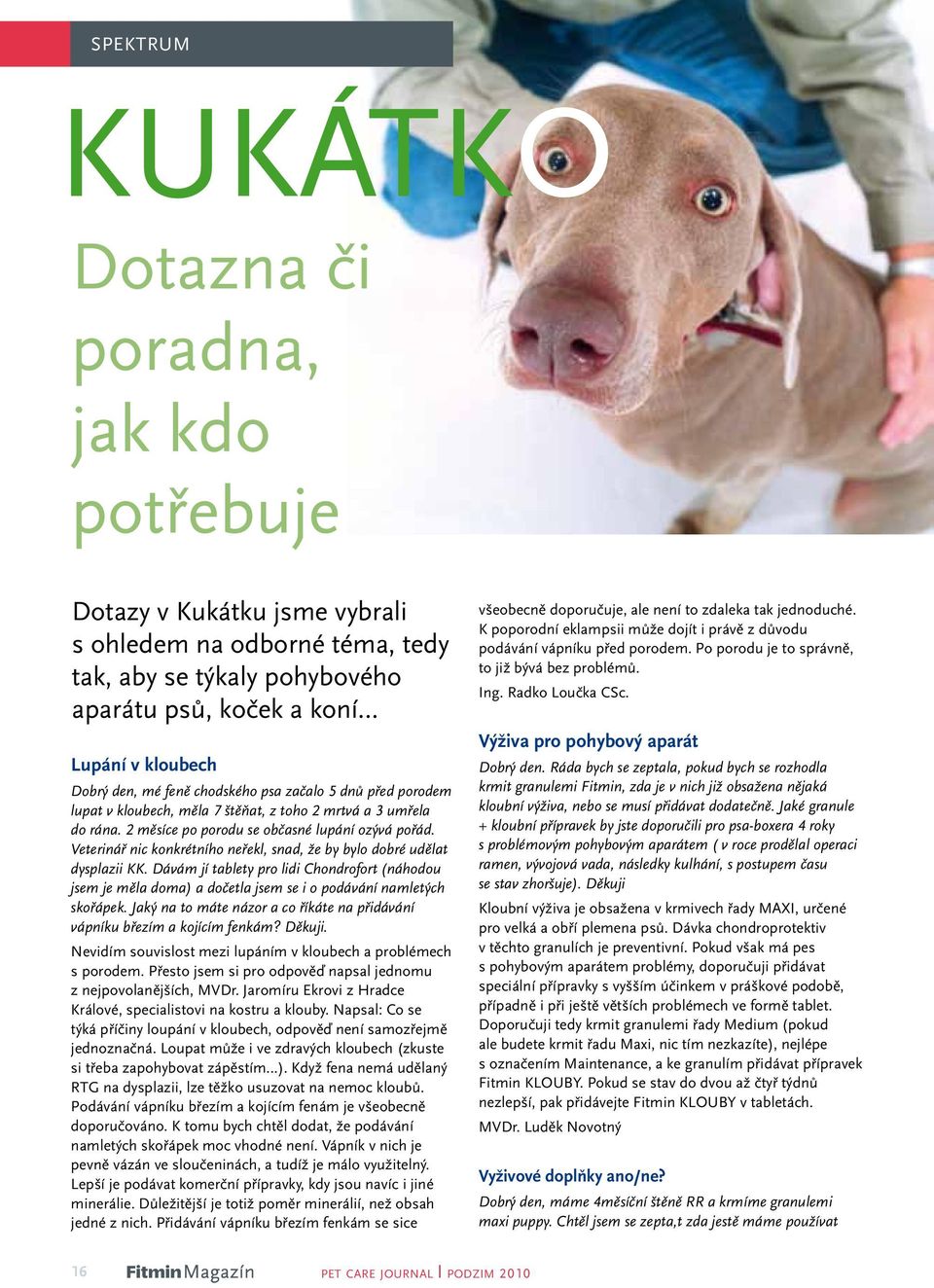 Veterinář nic konkrétního neřekl, snad, že by bylo dobré udělat dysplazii KK. Dávám jí tablety pro lidi Chondrofort (náhodou jsem je měla doma) a dočetla jsem se i o podávání namletých skořápek.