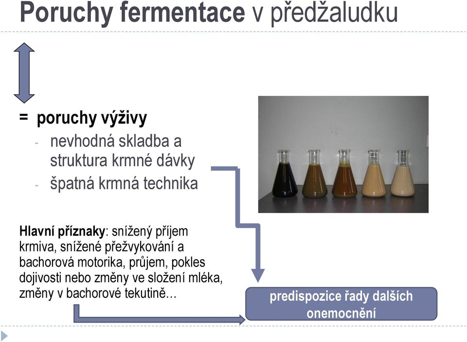 krmiva, snížené přežvykování a bachorová motorika, průjem, pokles dojivosti