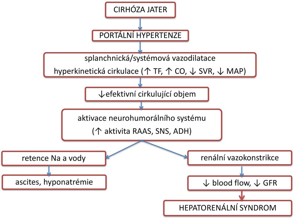 aktivace neurohumorálního systému ( aktivita RAAS, SNS, ADH) retence Na a