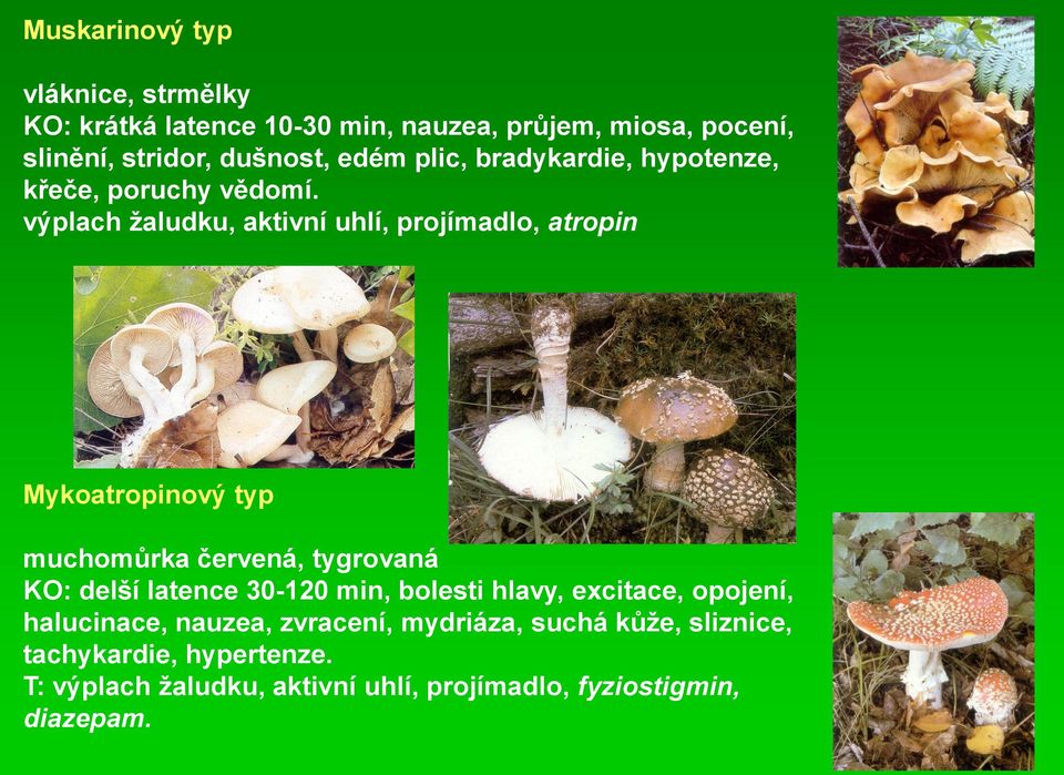 výplach žaludku, aktivní uhlí, projímadlo, atropin Mykoatropinový typ muchomůrka červená, tygrovaná KO: delší latence 30-120