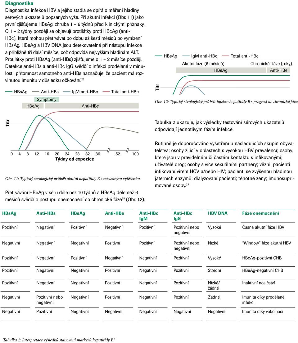 O 1 2 týdny později se objevují protilátky proti HBcAg (anti- HBc), které mohou přetrvávat po dobu až šesti měsíců po vymizení HBsAg.