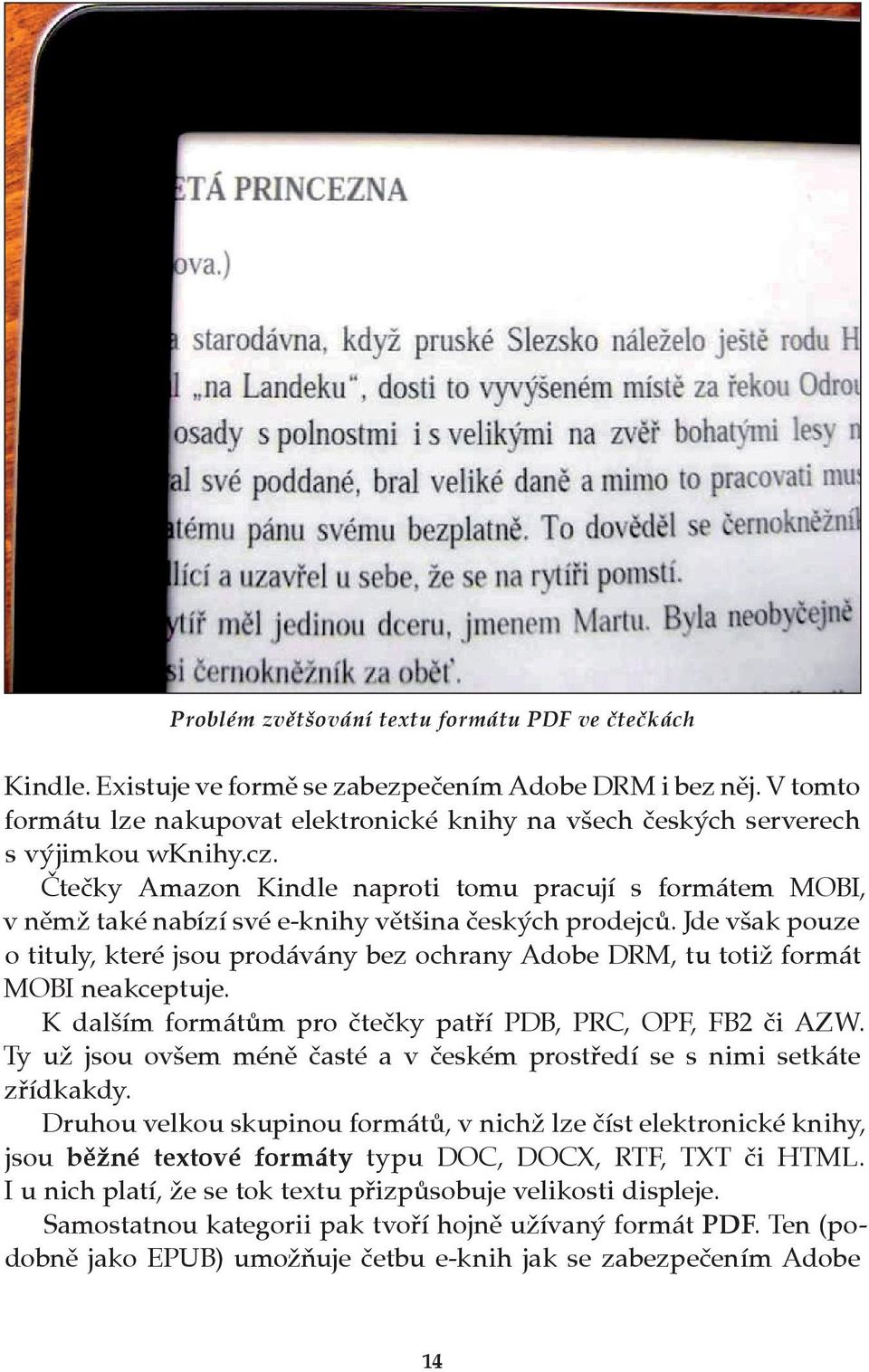 Čtečky Amazon Kindle naproti tomu pracují s formátem MOBI, v němž také nabízí své e knihy většina českých prodejců.