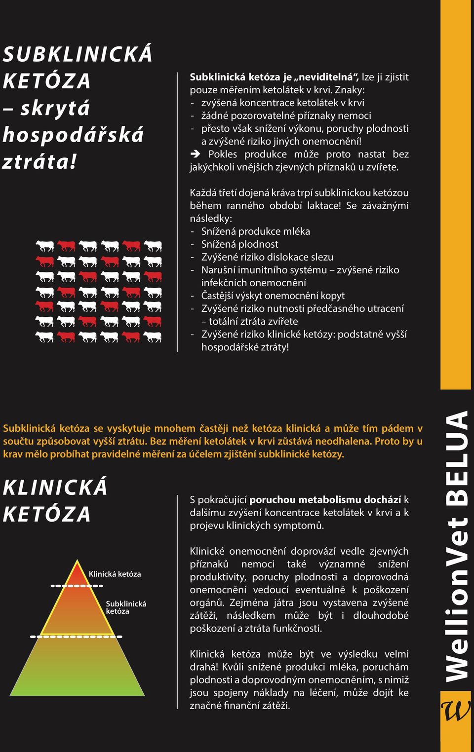 Pokles produkce může proto nastat bez jakýchkoli vnějších zjevných příznaků u zvířete. Každá třetí dojená kráva trpí subklinickou ketózou během ranného období laktace!