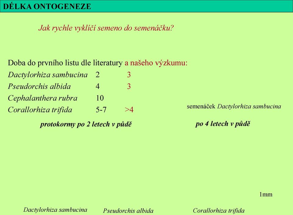Pseudorchis albida 4 3 Cephalanthera rubra 10 Corallorhiza trifida 5-7 >4 semenáček