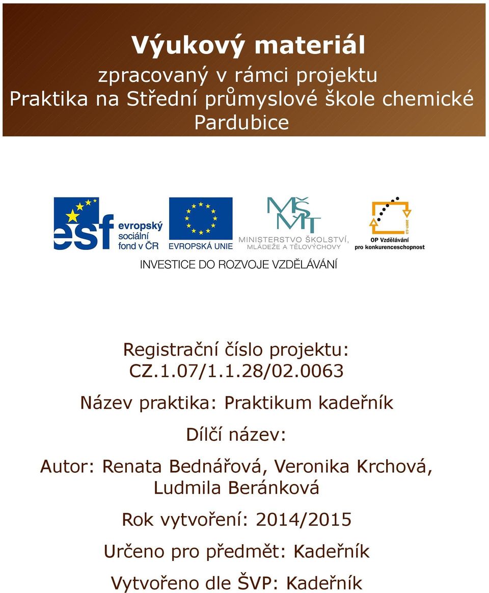 0063 Název praktika: Praktikum kadeřník Dílčí název: Autor: Renata Bednářová,