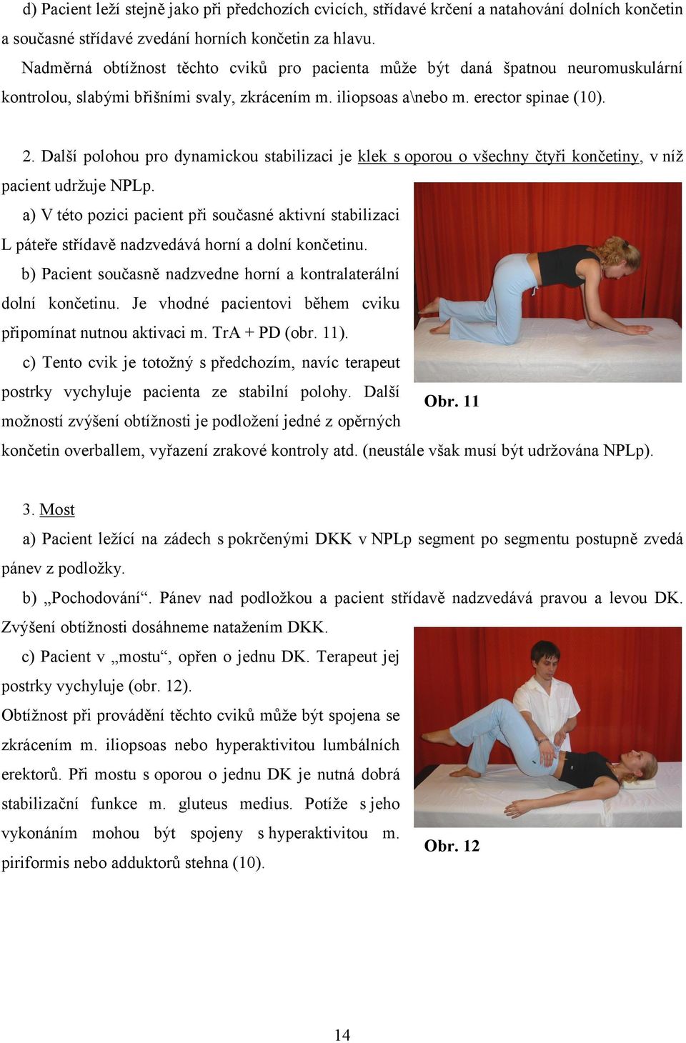 Další polohou pro dynamickou stabilizaci je klek s oporou o všechny čtyři končetiny, v níž pacient udržuje NPLp.