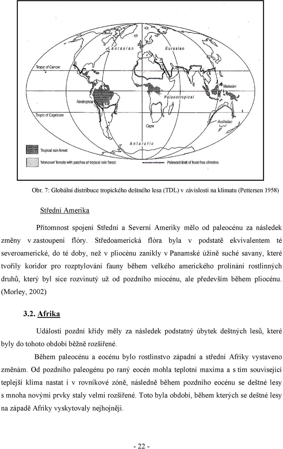 Středoamerická flóra byla v podstatě ekvivalentem té severoamerické, do té doby, než v pliocénu zanikly v Panamské úžině suché savany, které tvořily koridor pro rozptylování fauny během velkého