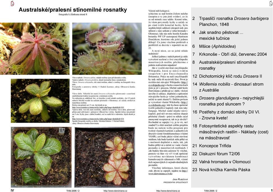 Fotografie z autorovy sbírky Radek Kastner, zdroj: Obrazová banka Darwiniany Vlevo dole: Několik let stará Drosera schizandra pěstovaná v uzavřené umělohmotné krabici na potraviny s minimem světla.