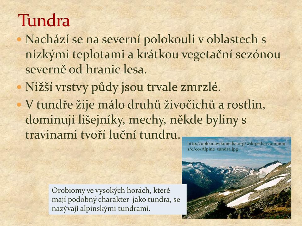 V tundře žije málo druhů živočichů a rostlin, dominují lišejníky, mechy, někde byliny s travinami tvoří luční