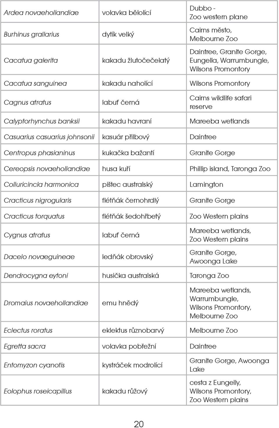 Casuarius casuarius johnsonii kasuár pøilbový Daintree Centropus phasianinus kukaèka baantí Granite Gorge Cereopsis novaehollandiae husa kuøí Phillip island, Taronga Zoo Colluricincla harmonica pitec