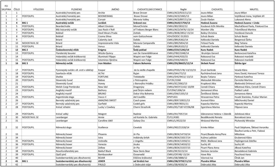 BIG 1 Australský ovčák Jurášek Srdcové eso CMKU/AUO/1754/13 Hodová Zuzana Hodová Zuzana + Linda 1 5 POSTOUPIL Bearded kolie Albert Einstein MonaChristie CMKU/BD/2832/12 Koubová JUDr.