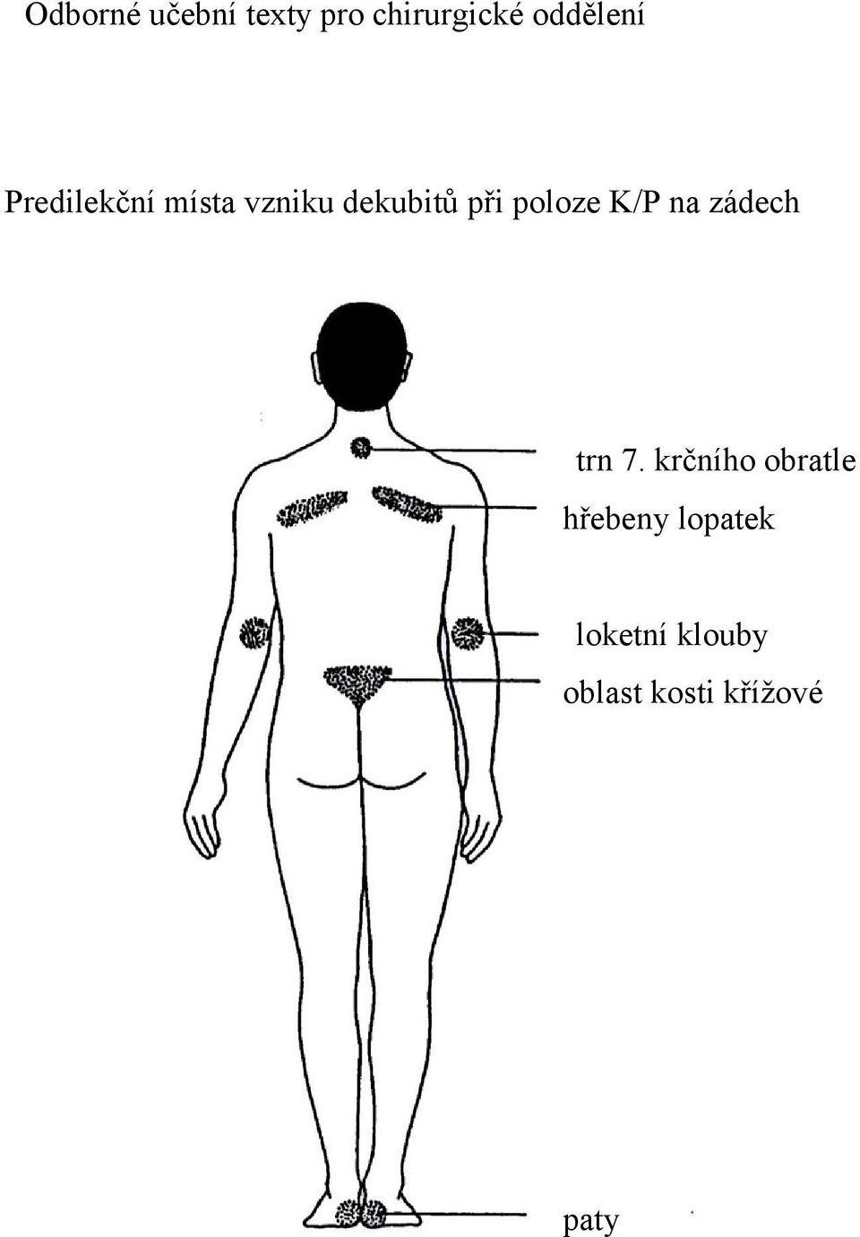 krčního obratle hřebeny lopatek