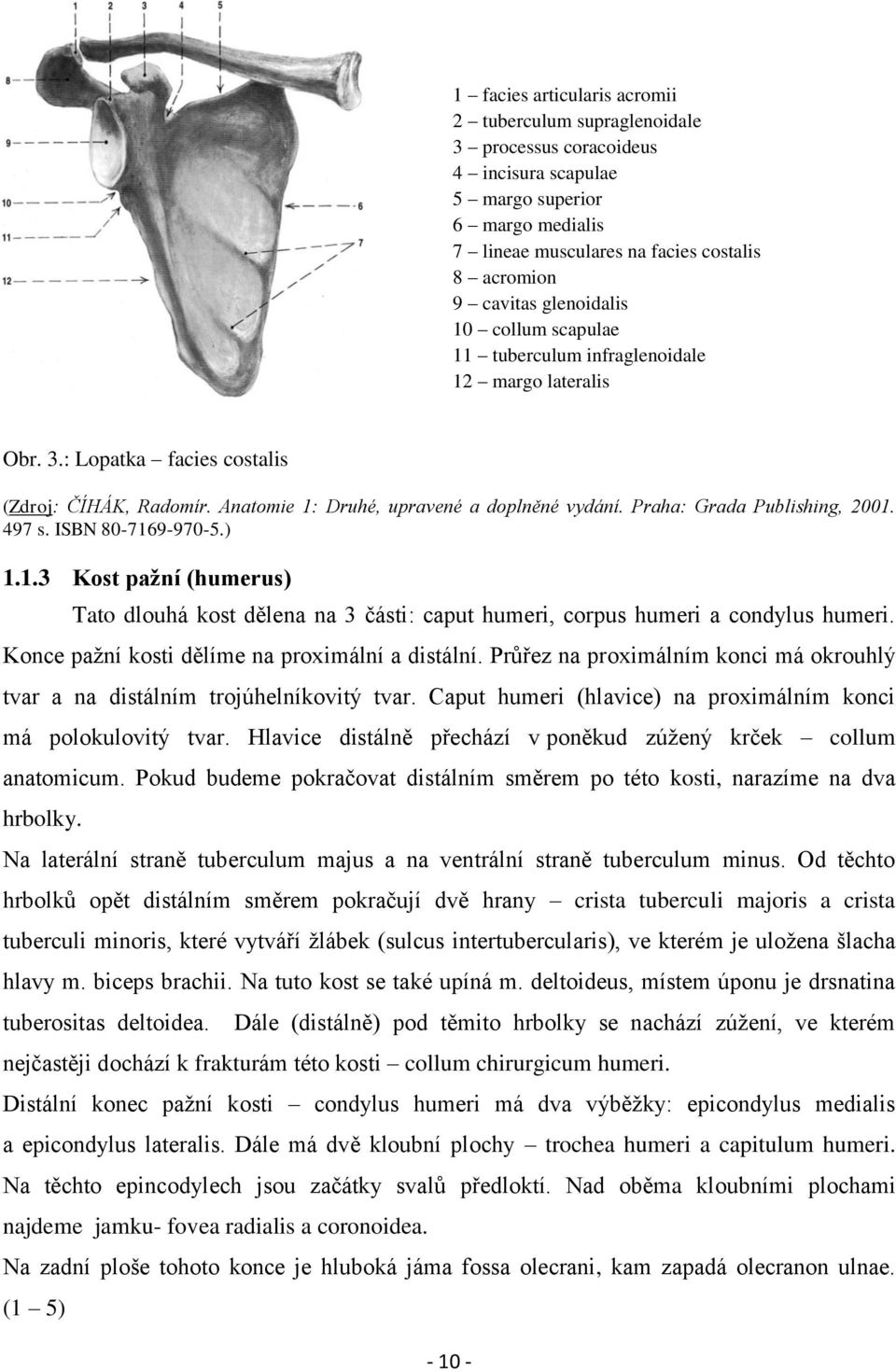 Praha: Grada Publishing, 2001. 497 s. ISBN 80-7169-970-5.) 1.1.3 Kost pažní (humerus) Tato dlouhá kost dělena na 3 části: caput humeri, corpus humeri a condylus humeri.