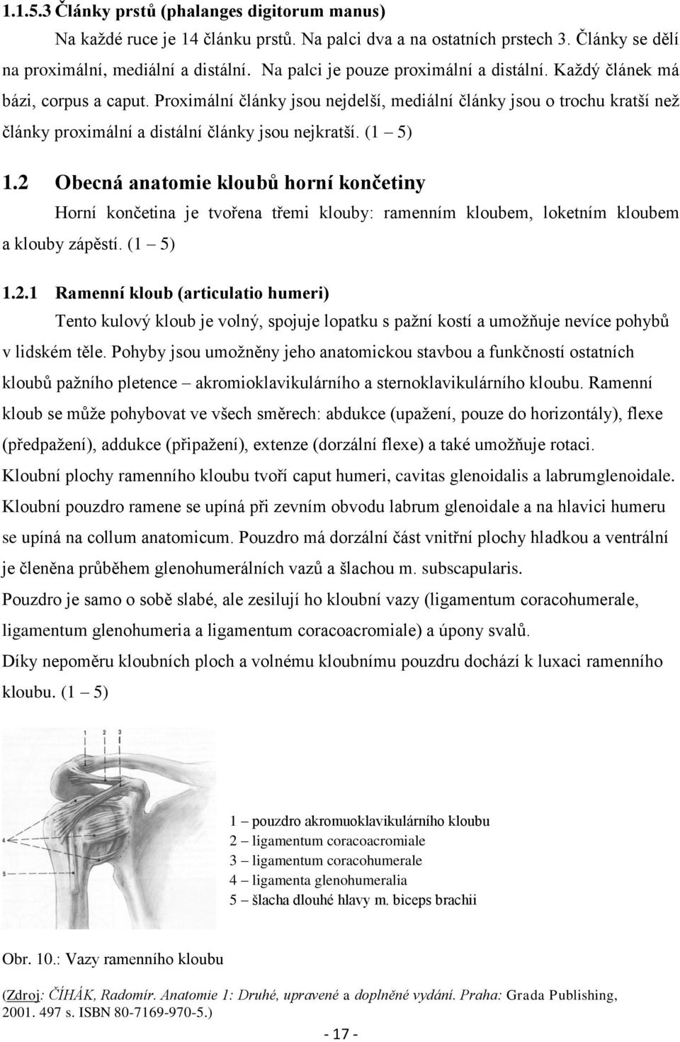 Proximální články jsou nejdelší, mediální články jsou o trochu kratší než články proximální a distální články jsou nejkratší. (1 5) 1.