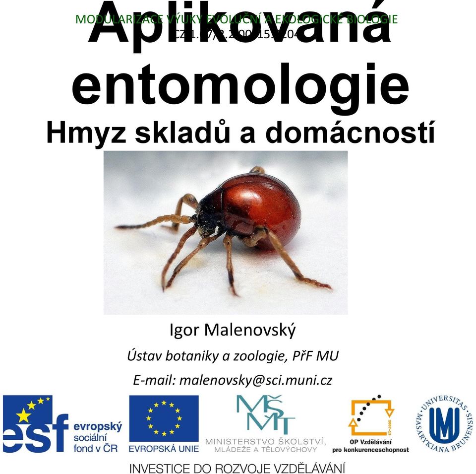 0204 entomologie Hmyz skladů a domácností Igor