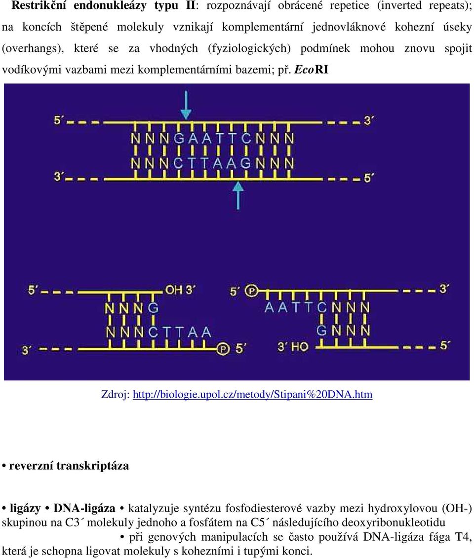 cz/metody/stipani%20dna.