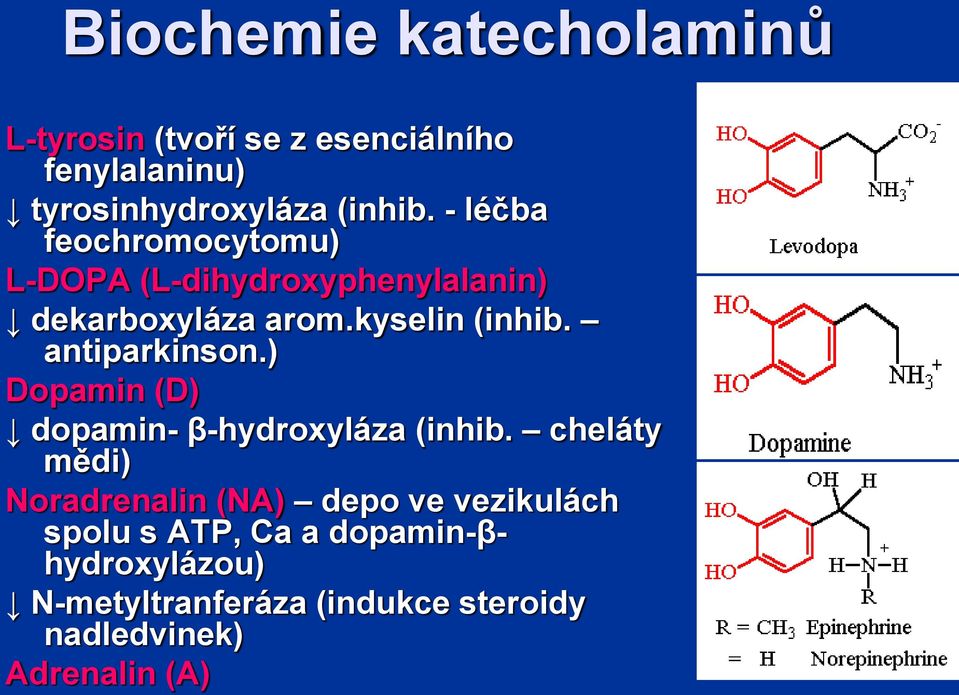 antiparkinson.) Dopamin (D) dopamin βhydroxyláza (inhib.