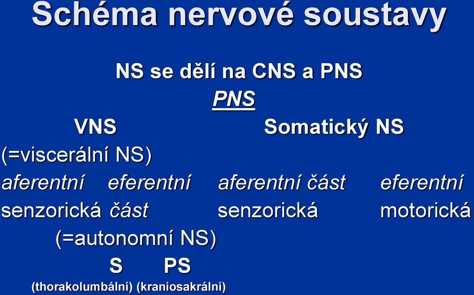 aferentní část eferentní senzorická část senzorická