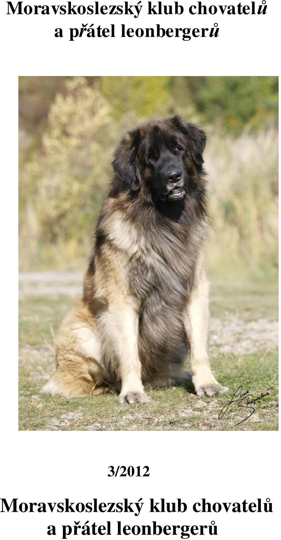 leonberger 3/2012  