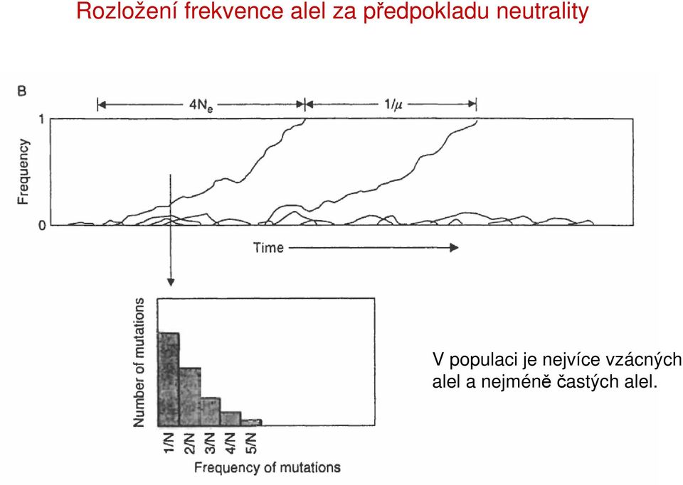 populaci je nejvíce