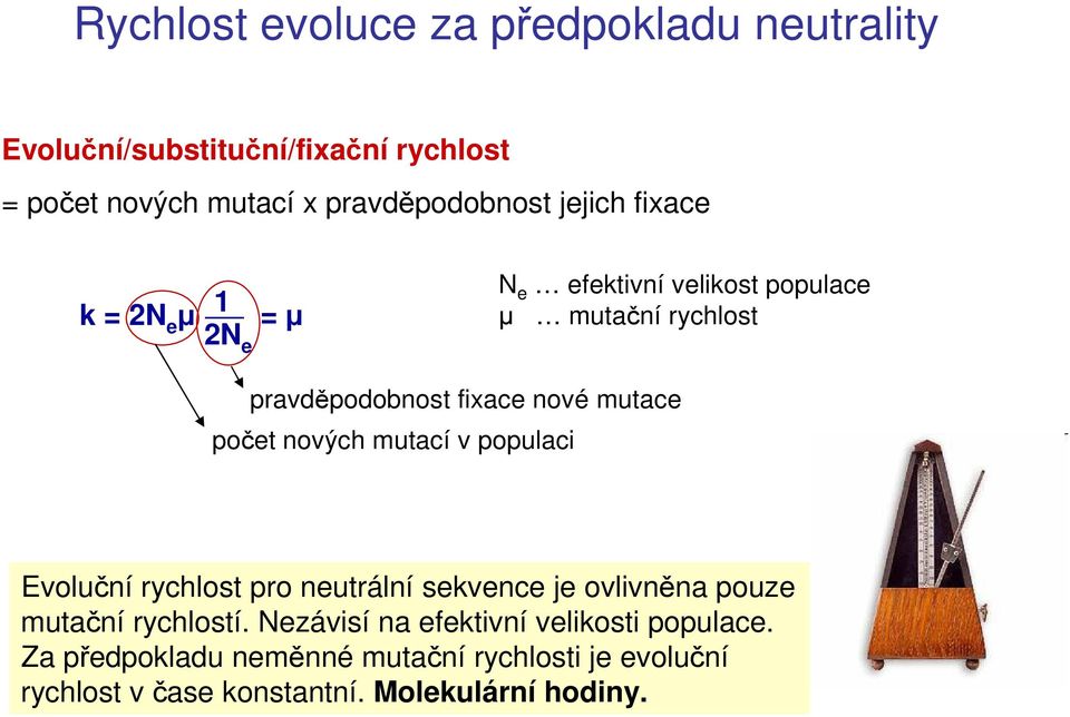 počet nových mutací v populaci Evoluční rychlost pro neutrální sekvence je ovlivněna pouze mutační rychlostí.