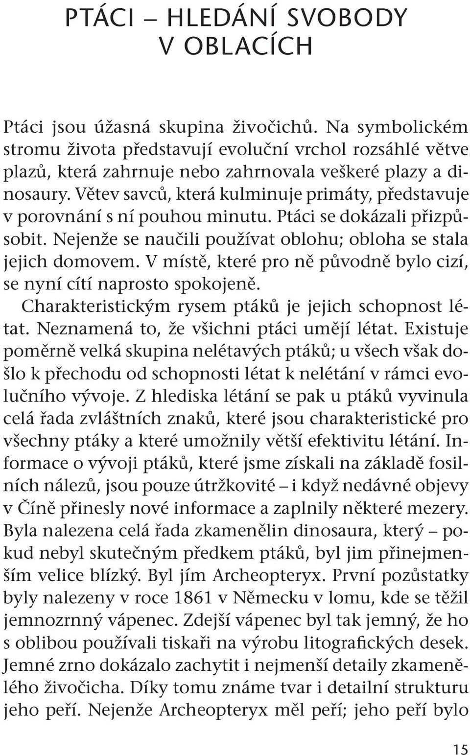 Větev savců, která kulminuje primáty, představuje v porovnání s ní pouhou minutu. Ptáci se dokázali přizpůsobit. Nejenže se naučili používat oblohu; obloha se stala jejich domovem.