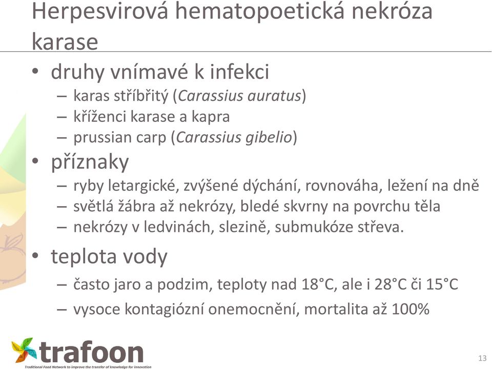 dně světlá žábra až nekrózy, bledé skvrny na povrchu těla nekrózy v ledvinách, slezině, submukóze střeva.