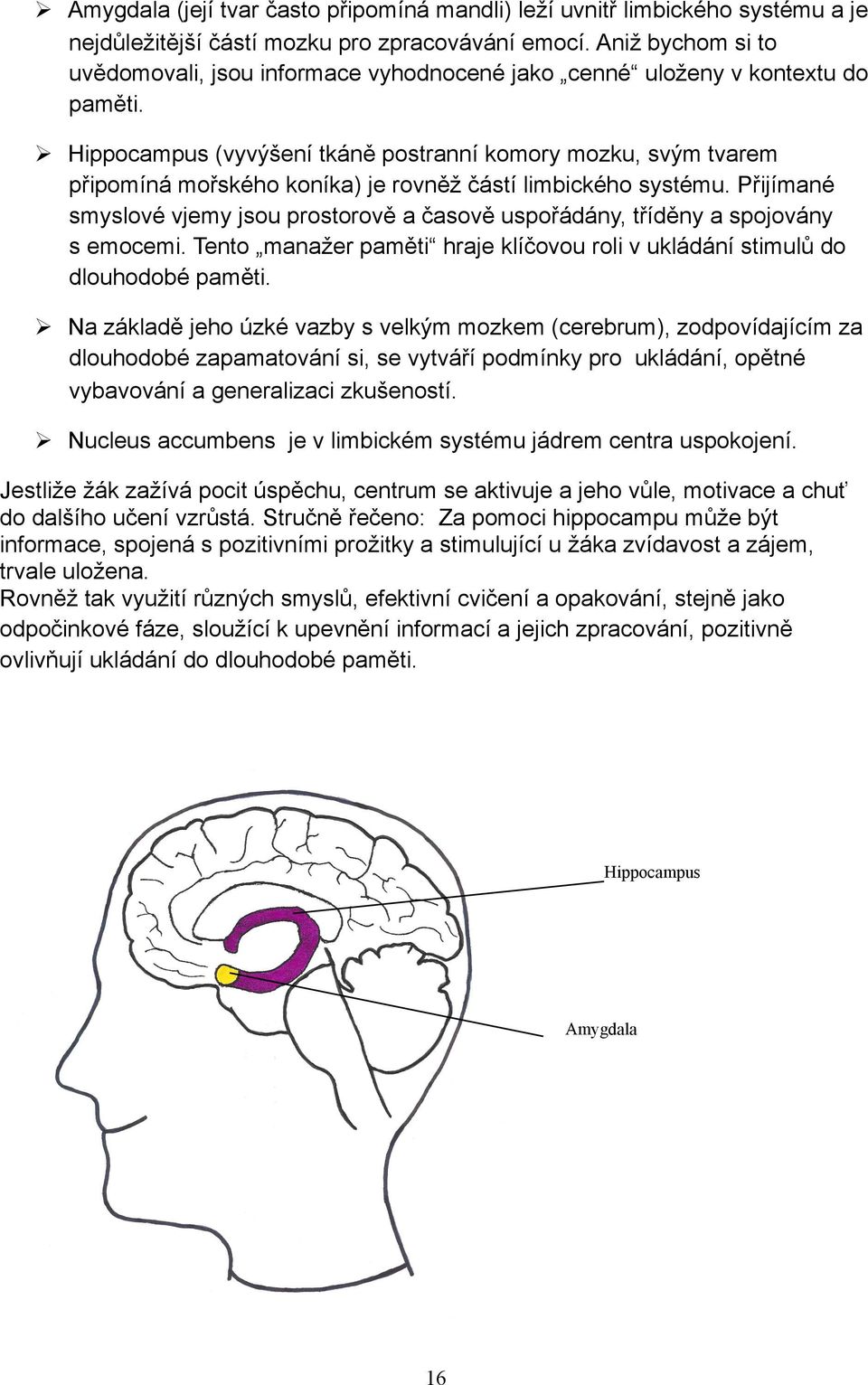 Hippocampus (vyvýšení tkáně postranní komory mozku, svým tvarem připomíná mořského koníka) je rovněž částí limbického systému.