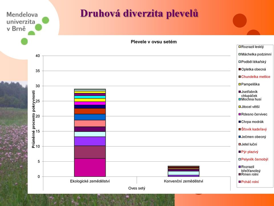 husí Jitocel větší Rdesno červivec Chrpa modrák 15 Šťovík kadeřavý Ječmen obecný 10 Jetel luční Pýr plazivý 5 0