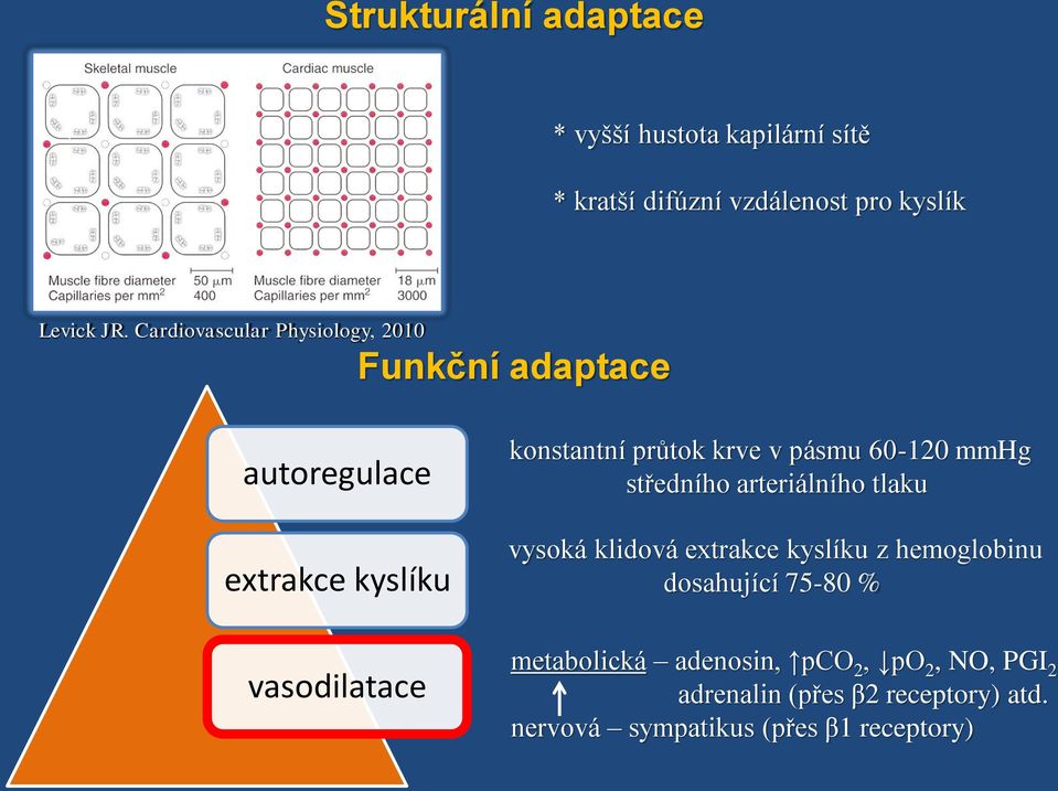 60-120 mmhg středního arteriálního tlaku vysoká klidová extrakce kyslíku z hemoglobinu dosahující 75-80 %