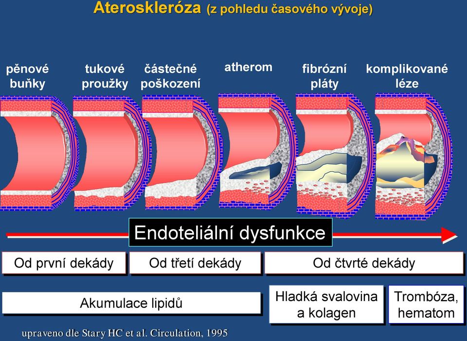 dysfunkce Od první dekády Od třetí dekády Od čtvrté dekády Akumulace lipidů