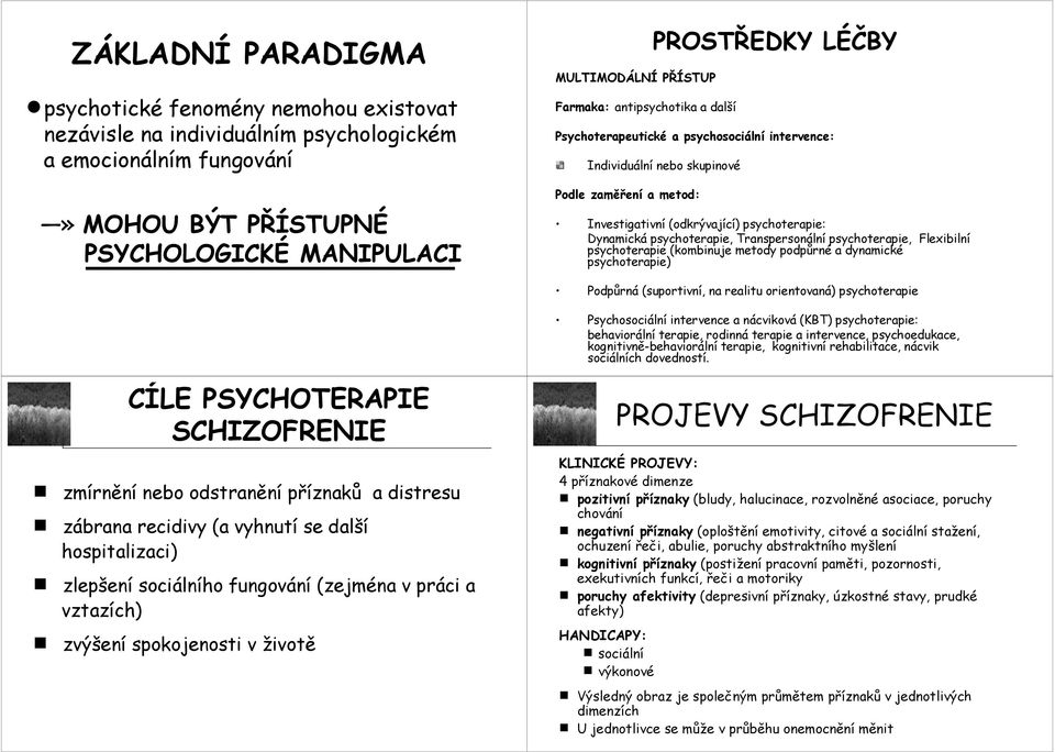 Dynamická psychoterapie, Transpersonální psychoterapie, Flexibilní psychoterapie (kombinuje metody podpůrné a dynamické psychoterapie) Podpůrná (suportivní, na realitu orientovaná) psychoterapie