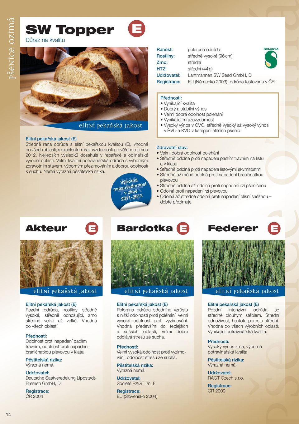 elitních pšenic Elitní pekařská jakost (E) Středně raná odrůda s elitní pekařskou kvalitou (E), vhodná do všech oblastí, s excelentní mrazuvzdorností prověřenou zimou 2012.