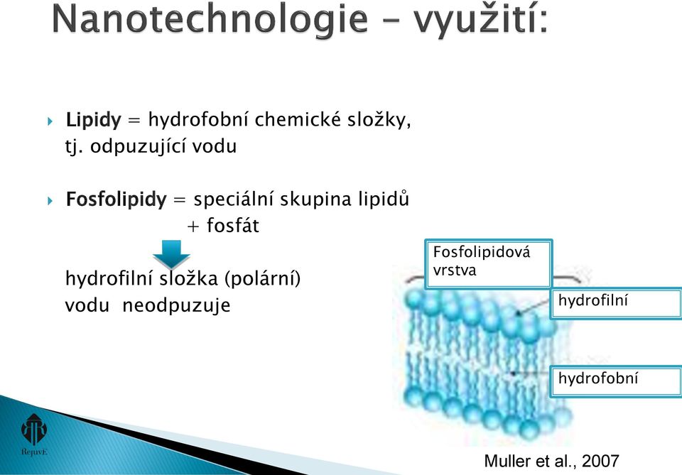 lipidů + fosfát hydrofilní složka (polární) vodu