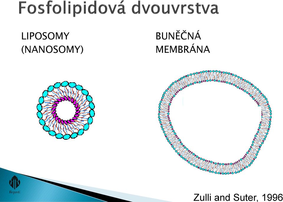 LIPOSOMY